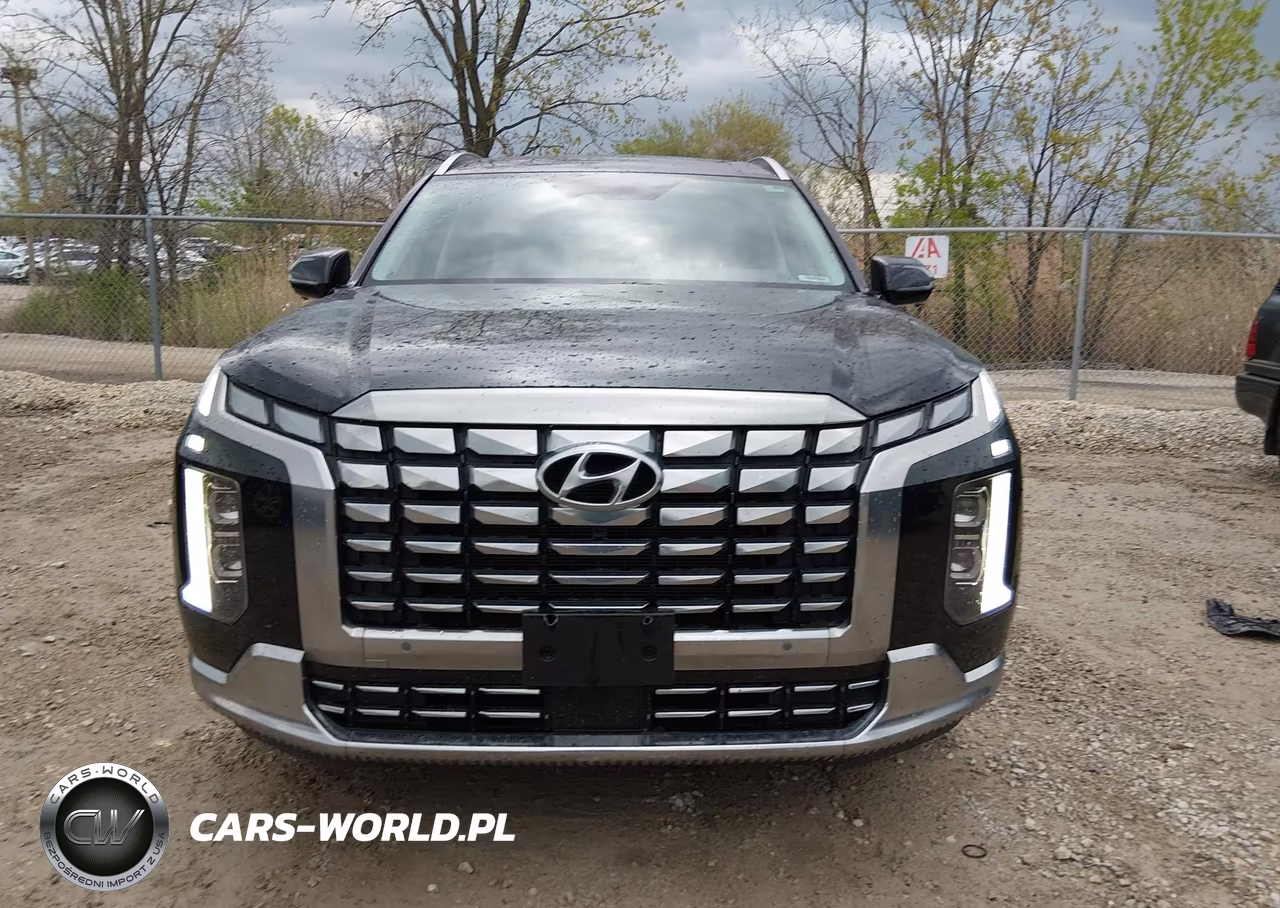 2023 Hyundai Palisade Calligraphy VIN:KM8R7DGE7PU557420 - 12