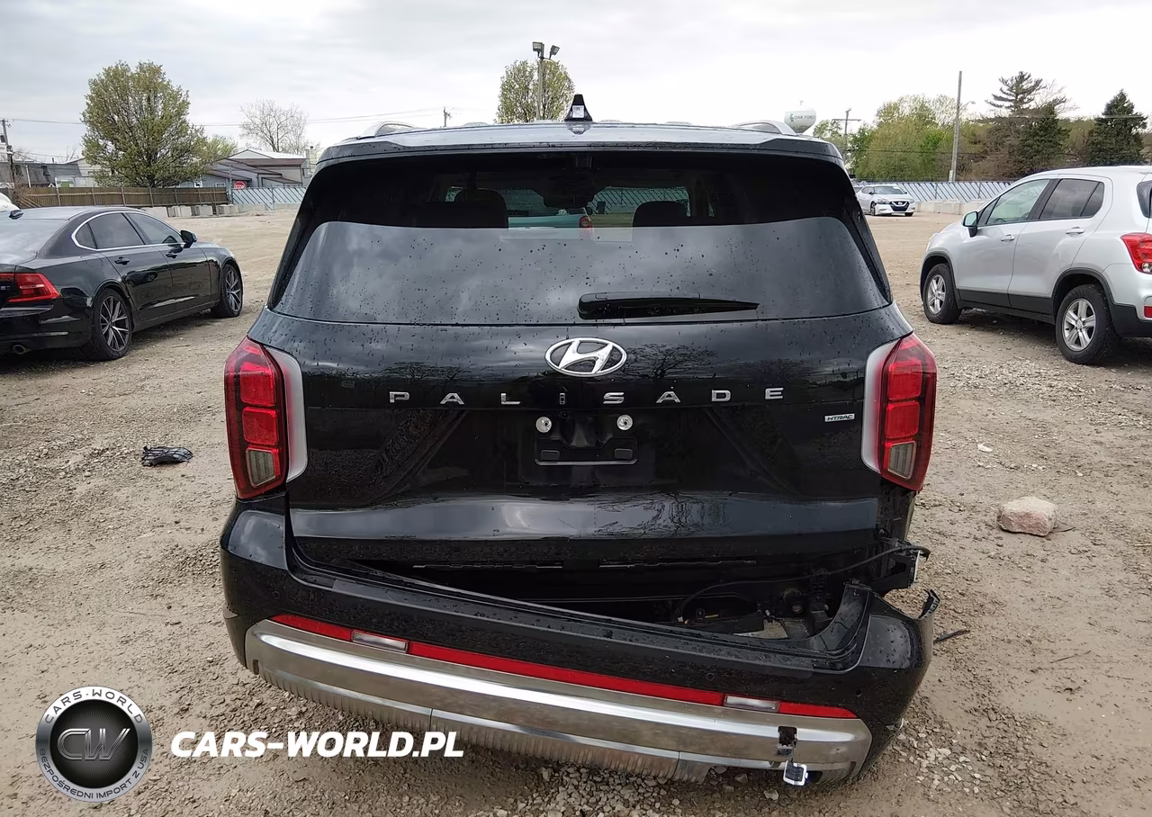 2023 Hyundai Palisade Calligraphy VIN:KM8R7DGE7PU557420 - 16