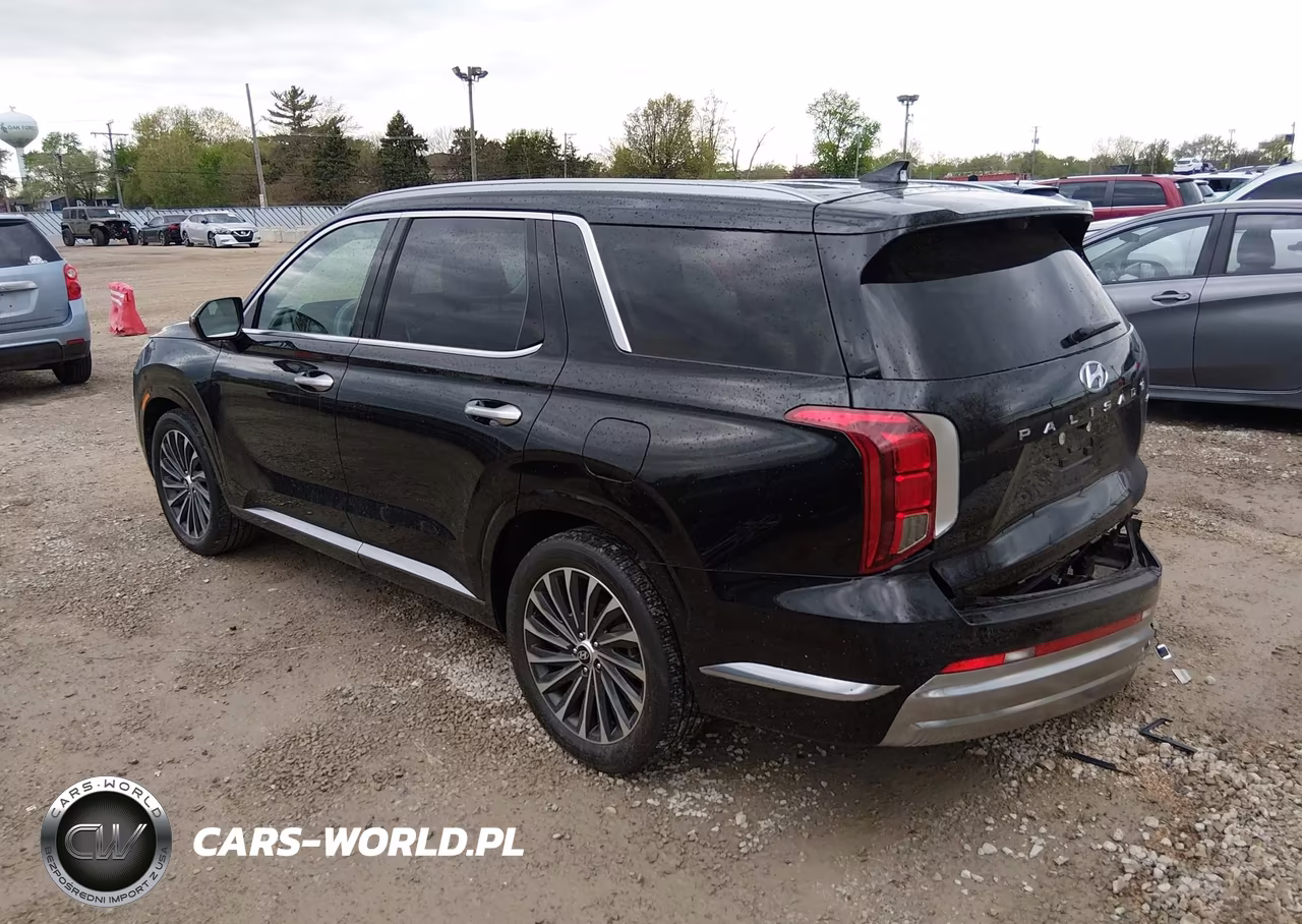 2023 Hyundai Palisade Calligraphy VIN:KM8R7DGE7PU557420 - 3