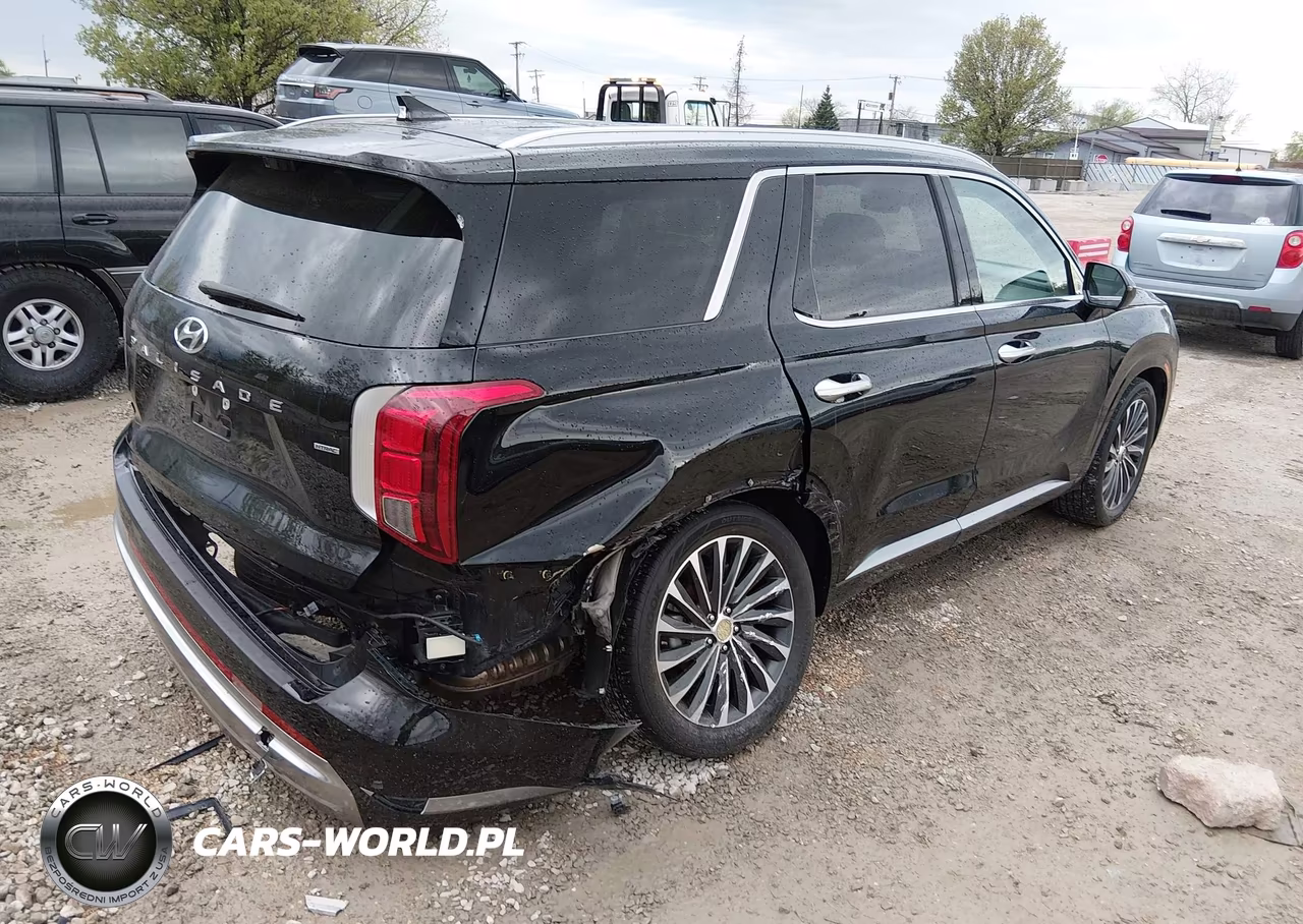 2023 Hyundai Palisade Calligraphy VIN:KM8R7DGE7PU557420 - 4