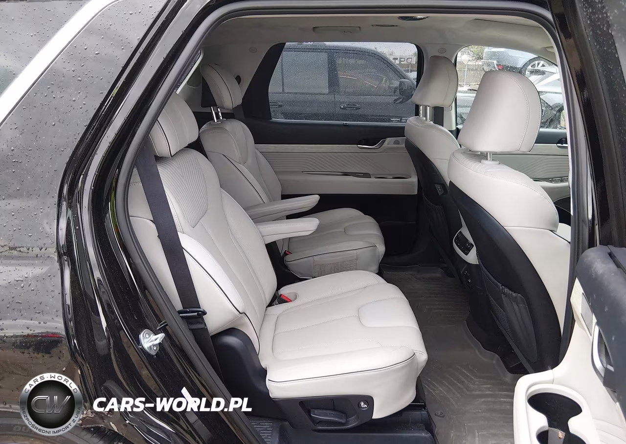 2023 Hyundai Palisade Calligraphy VIN:KM8R7DGE7PU557420 - 8