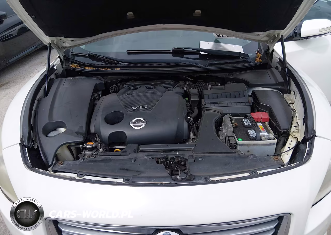 2014 Nissan Maxima 3.5 Sv VIN:1N4AA5AP1EC475534 - 10