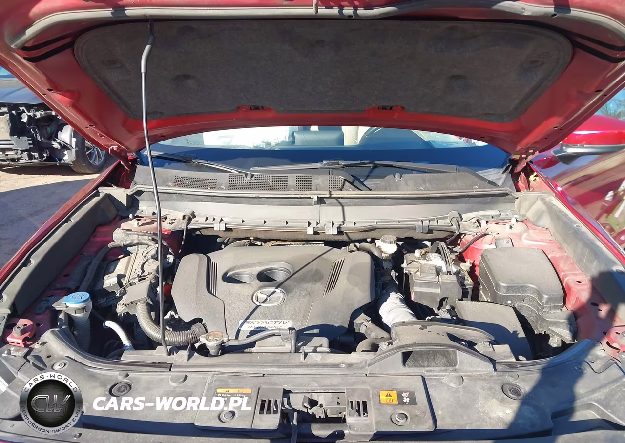 2018 Mazda Cx-9 Touring VIN:JM3TCBCY5J0229803 - 10