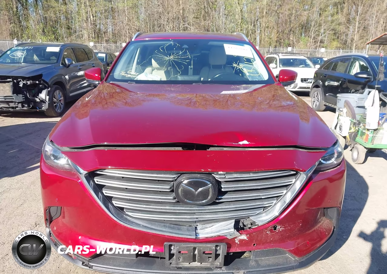 2018 Mazda Cx-9 Touring VIN:JM3TCBCY5J0229803 - 12