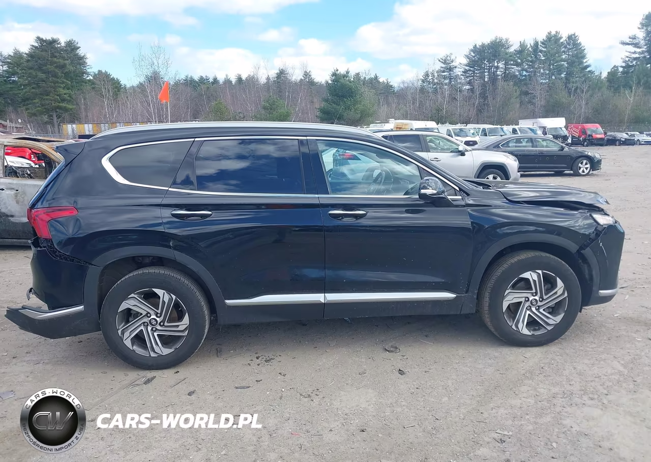 2022 Hyundai Santa Fe Sel VIN:5NMS3DAJ4NH475110 - 13