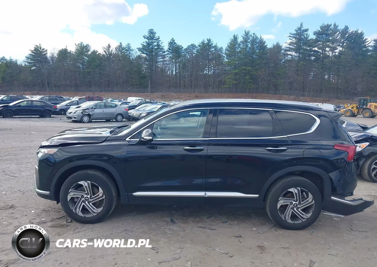 2022 Hyundai Santa Fe Sel VIN:5NMS3DAJ4NH475110 - 14