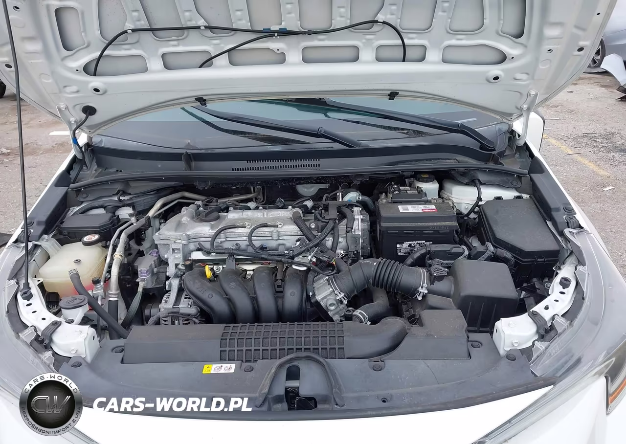 2020 Toyota Corolla Le VIN:5YFEPRAE6LP007979 - 10
