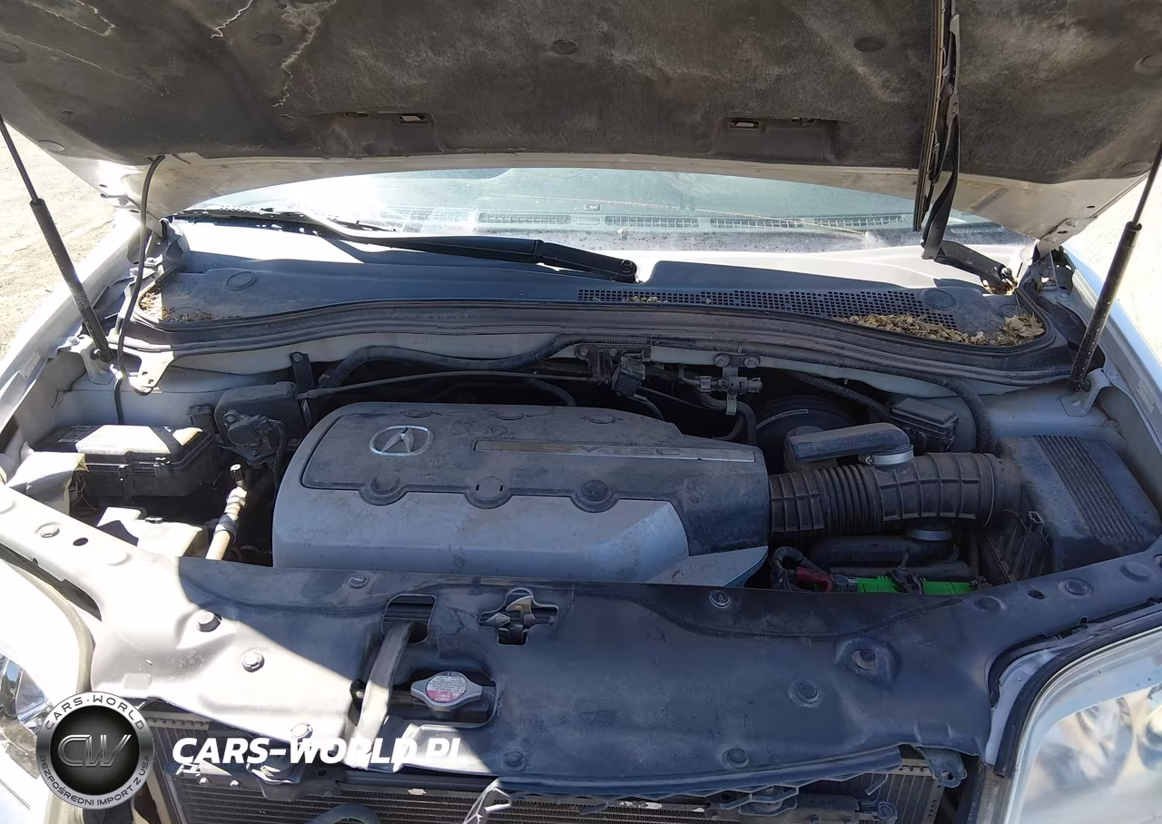 2005 Acura Mdx VIN:2HNYD18265H553008 - 10