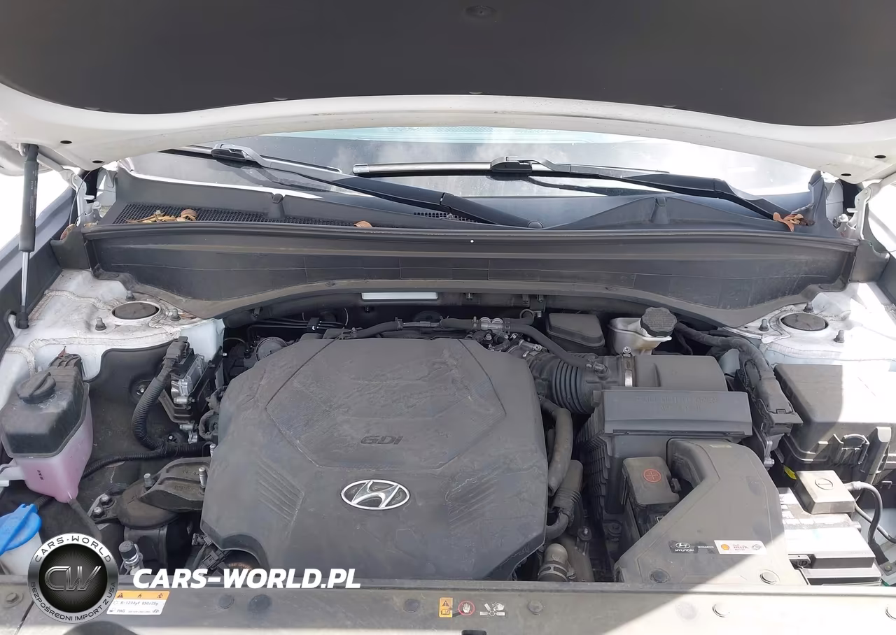2022 Hyundai Palisade Limited VIN:KM8R5DHE0NU341118 - 10