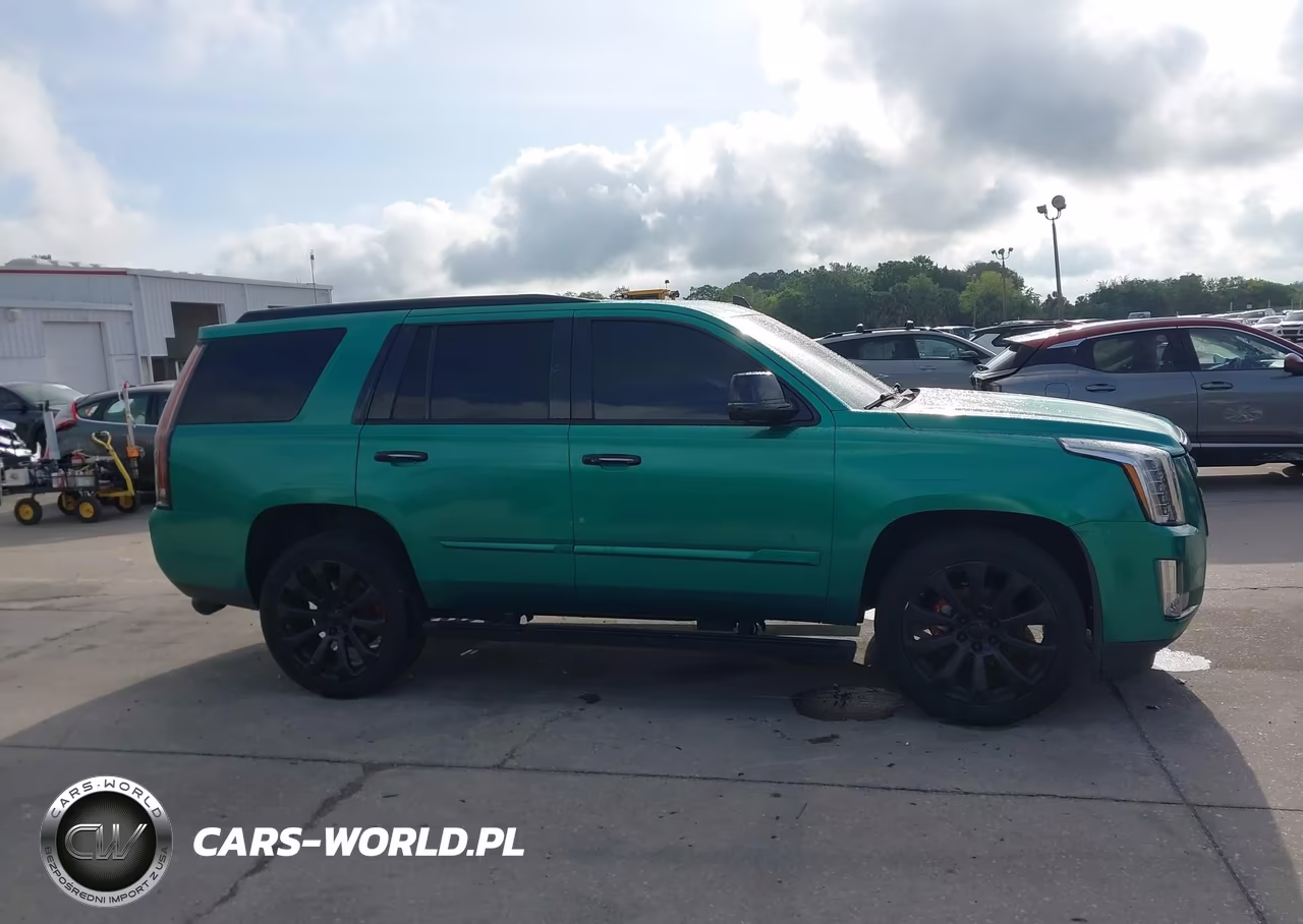 2016 Cadillac Escalade Premium Collection VIN:1GYS3CKJXGR446440 - 13