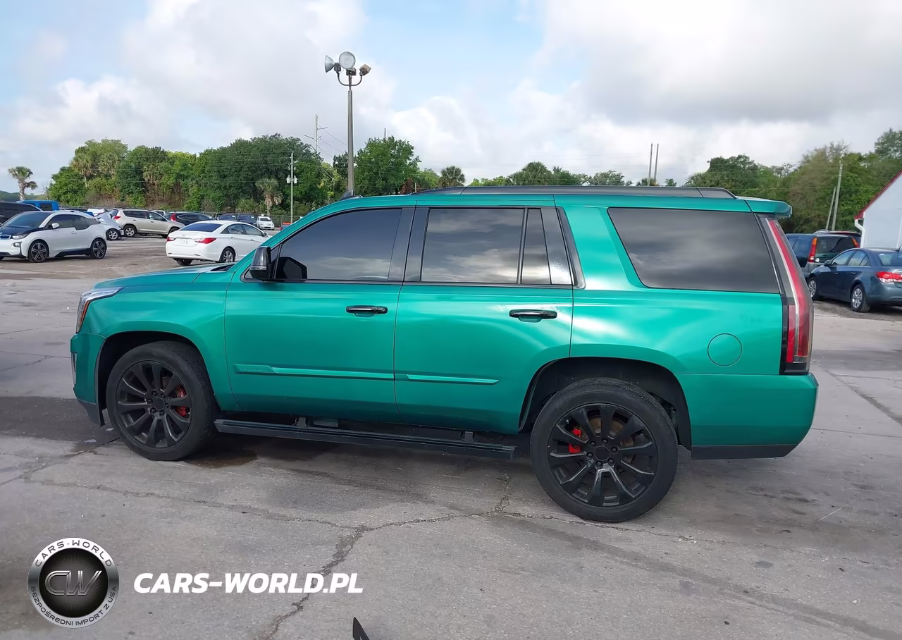 2016 Cadillac Escalade Premium Collection VIN:1GYS3CKJXGR446440 - 14