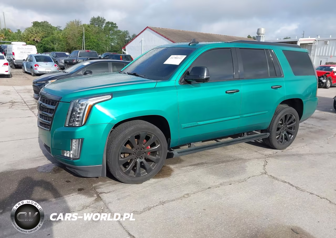 2016 Cadillac Escalade Premium Collection VIN:1GYS3CKJXGR446440 - 2