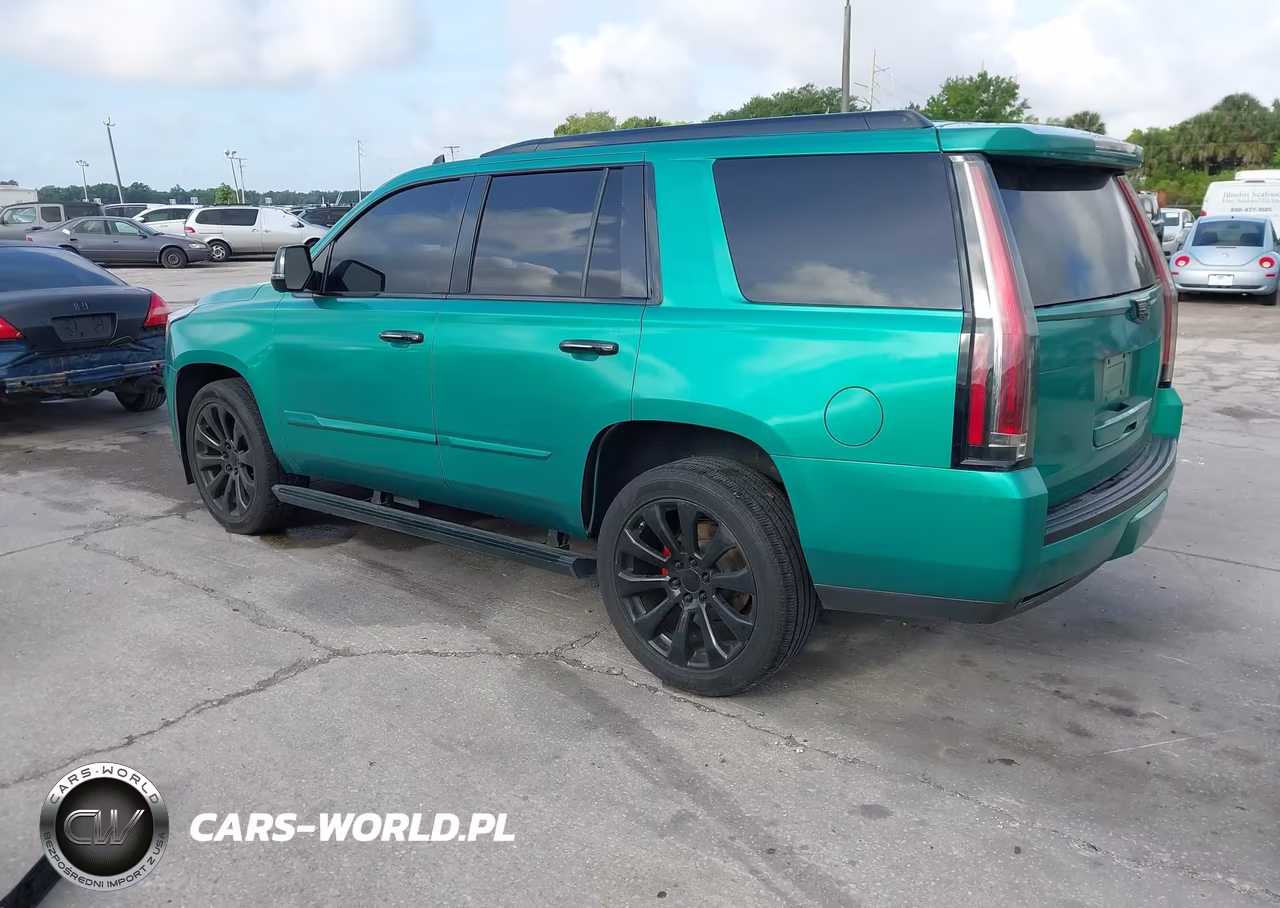 2016 Cadillac Escalade Premium Collection VIN:1GYS3CKJXGR446440 - 3