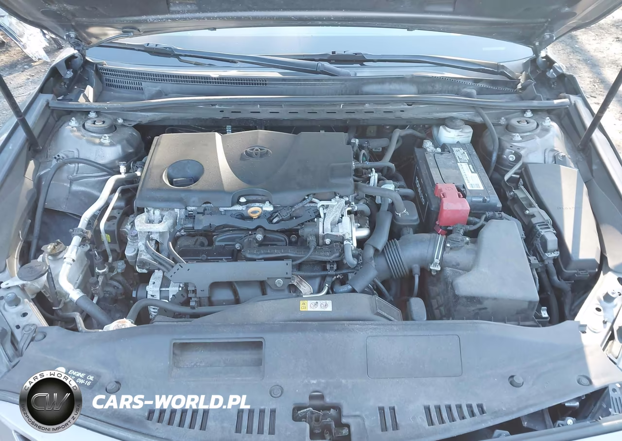 2019 Toyota Camry Xse VIN:4T1B61HK0KU775635 - 10