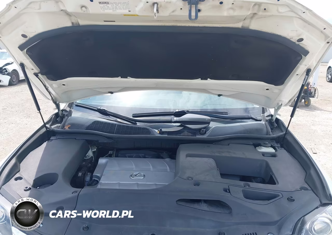 2014 Lexus Rx 350 VIN:2T2ZK1BA4EC138209 - 10
