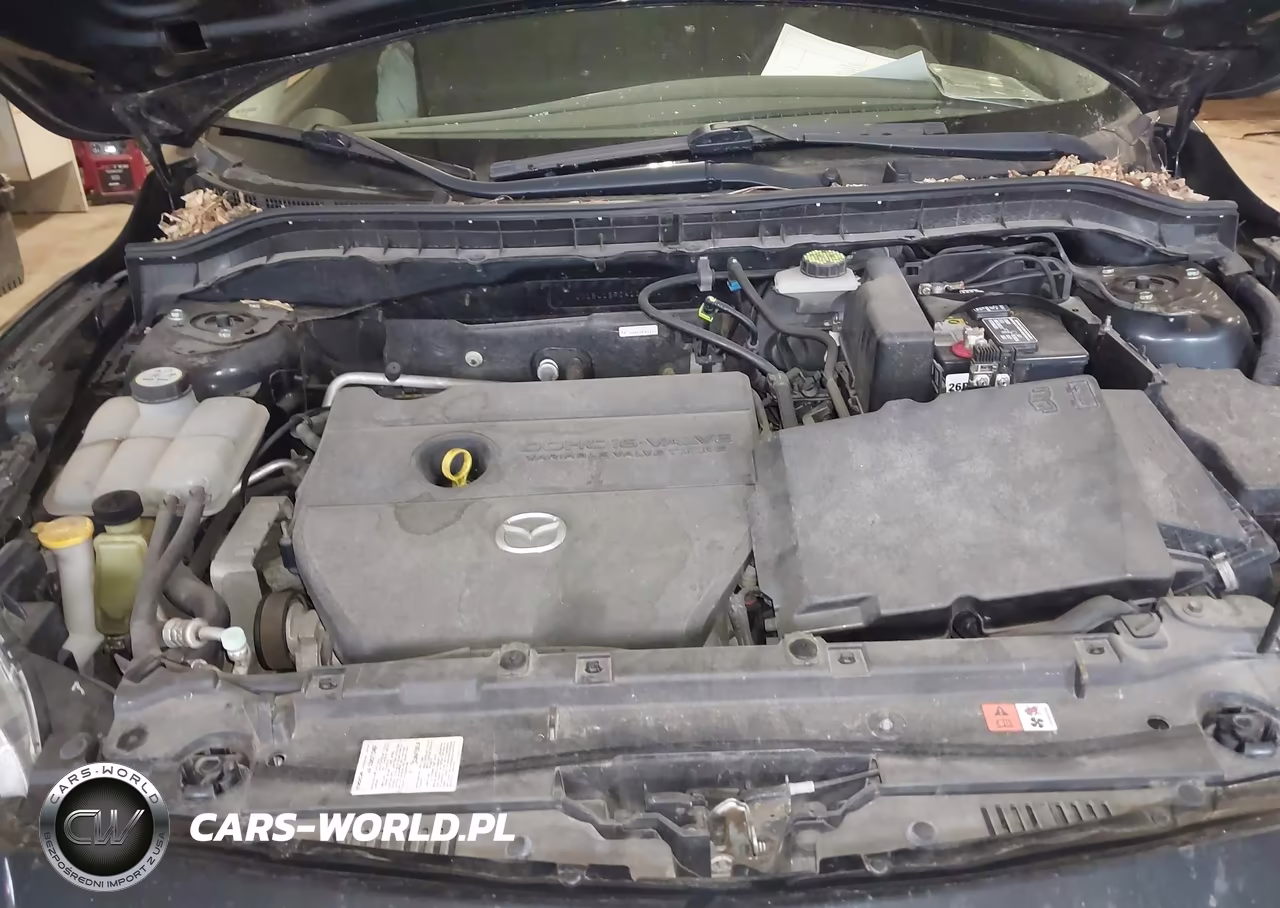 2010 Mazda Mazda3 I Touring VIN:JM1BL1SF0A1205627 - 10