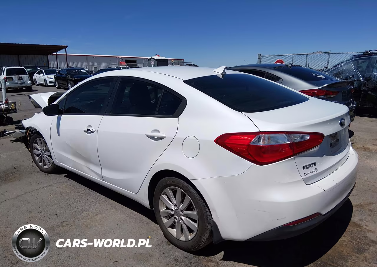 2014 Kia Forte Lx VIN:KNAFX4A63E5115022 - 14