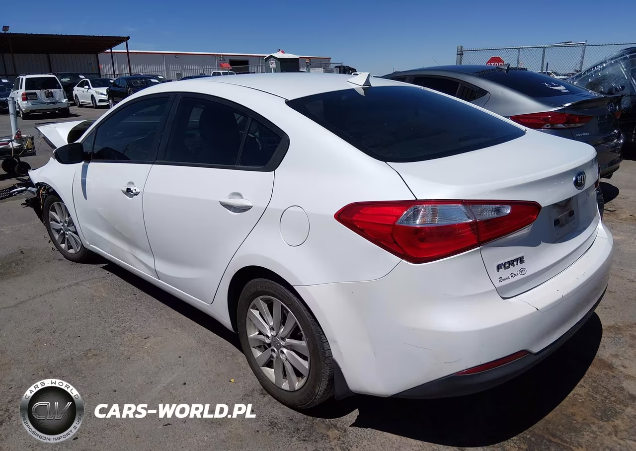 2014 Kia Forte Lx VIN:KNAFX4A63E5115022 - 3