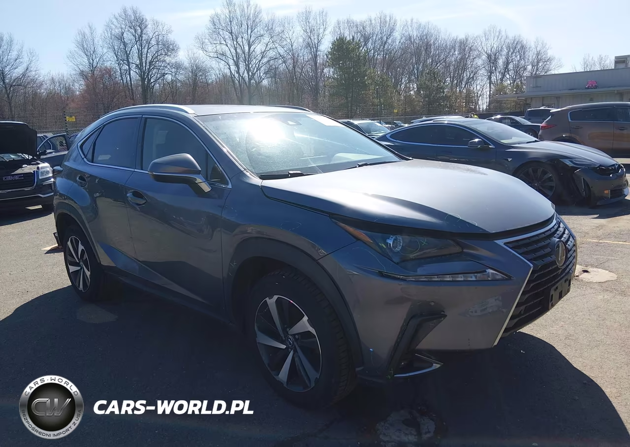 2019 Lexus Nx 300