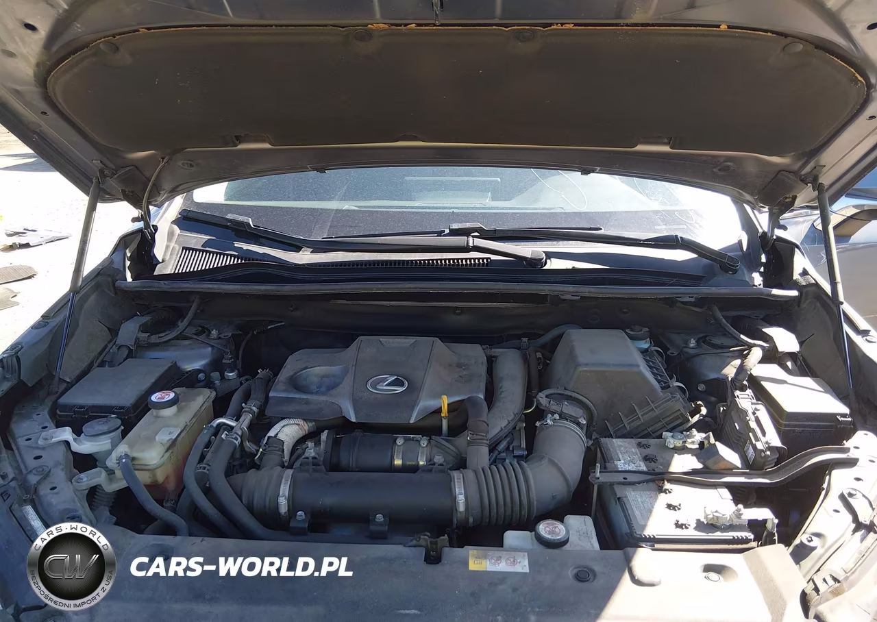 2019 Lexus Nx 300 VIN:JTJBARBZ5K2183857 - 10