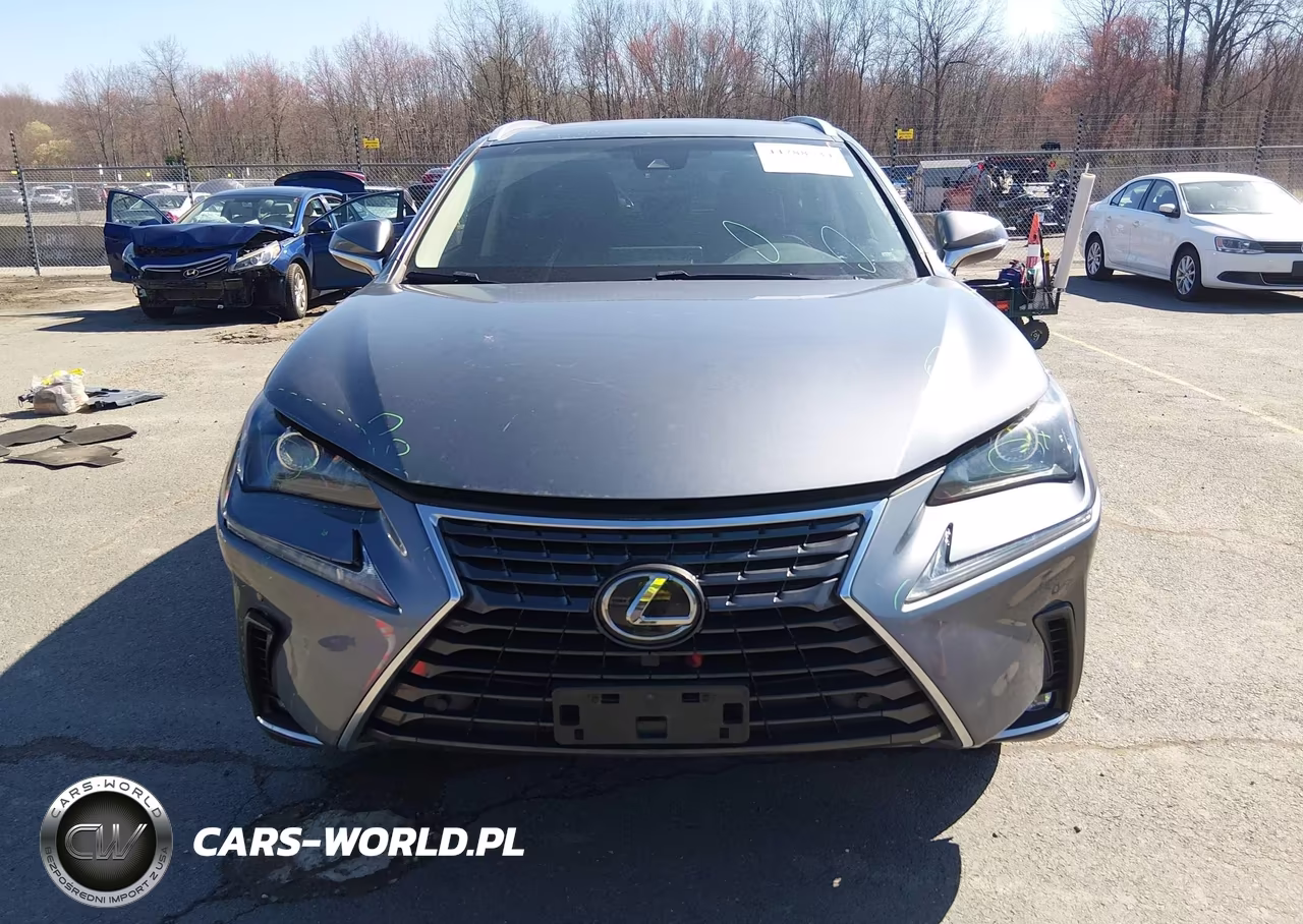 2019 Lexus Nx 300 VIN:JTJBARBZ5K2183857 - 13