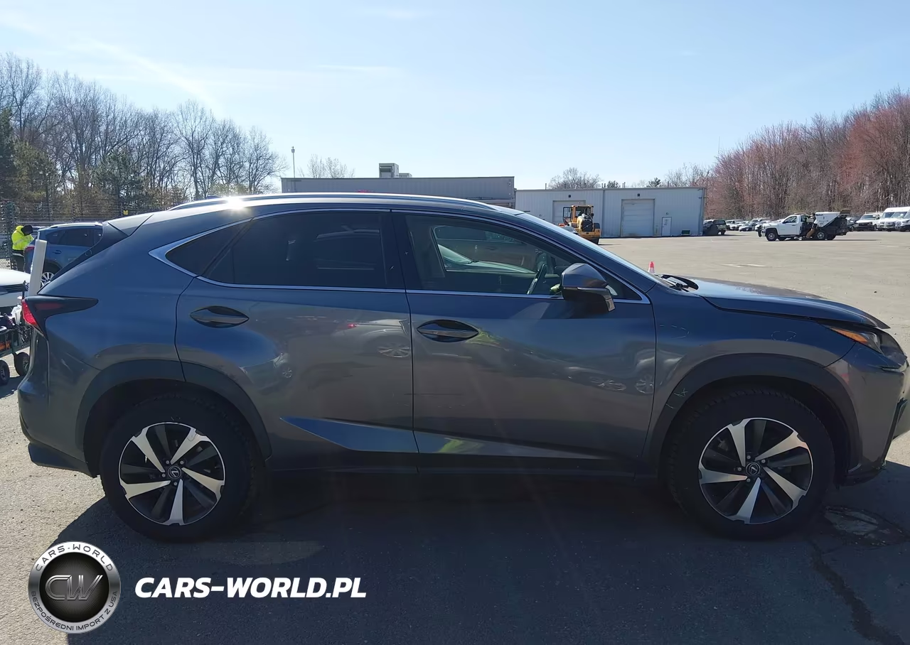 2019 Lexus Nx 300 VIN:JTJBARBZ5K2183857 - 14