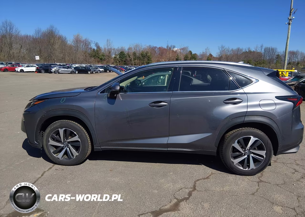 2019 Lexus Nx 300 VIN:JTJBARBZ5K2183857 - 15