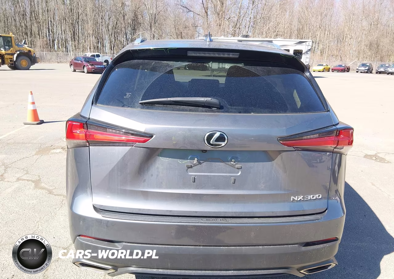 2019 Lexus Nx 300 VIN:JTJBARBZ5K2183857 - 17