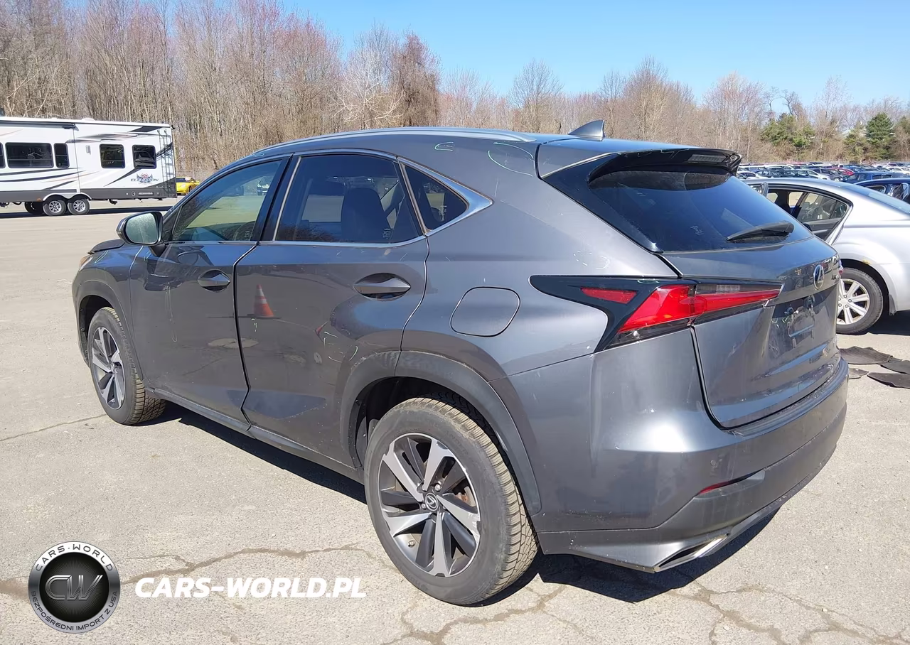 2019 Lexus Nx 300 VIN:JTJBARBZ5K2183857 - 3