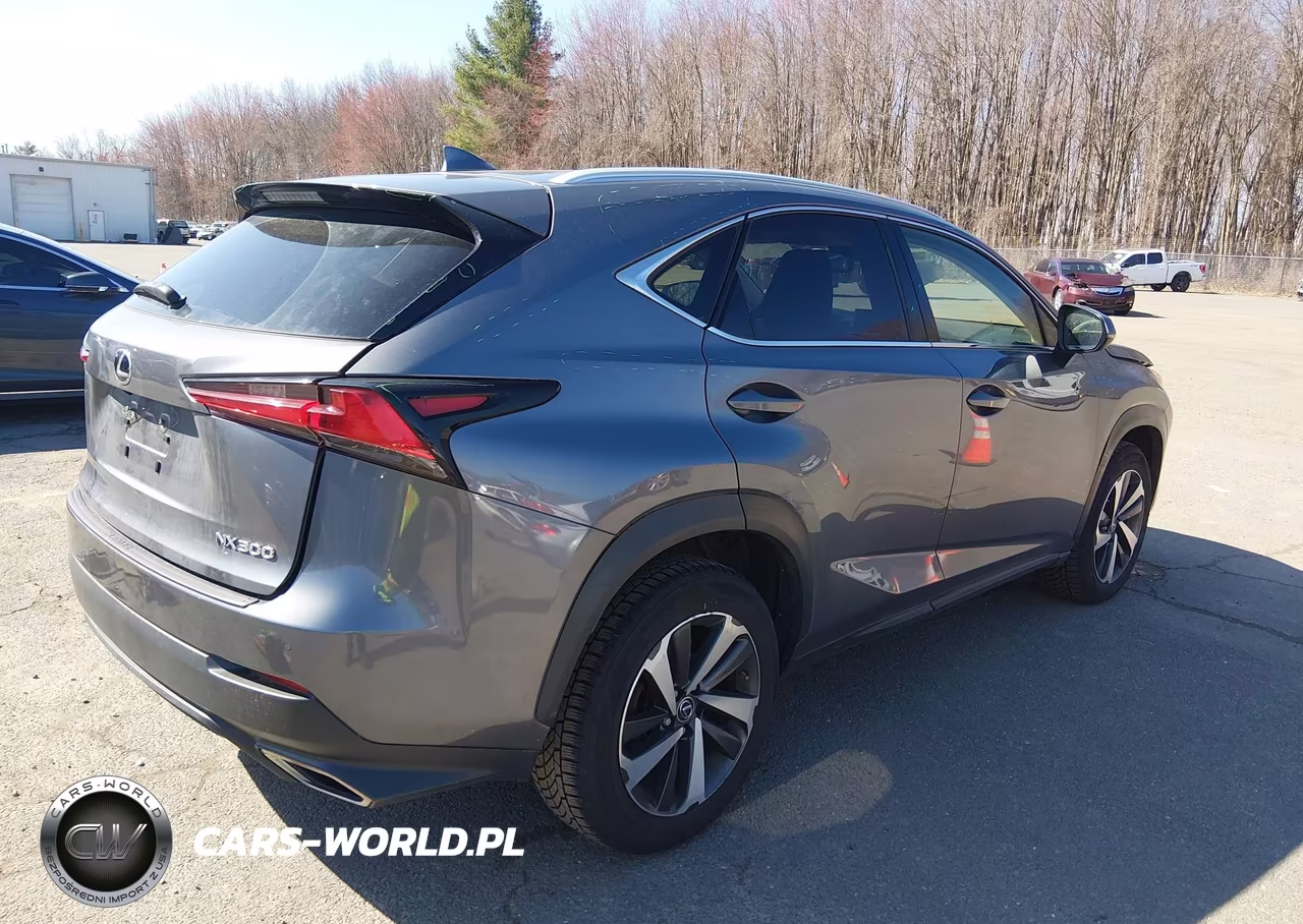 2019 Lexus Nx 300 VIN:JTJBARBZ5K2183857 - 4