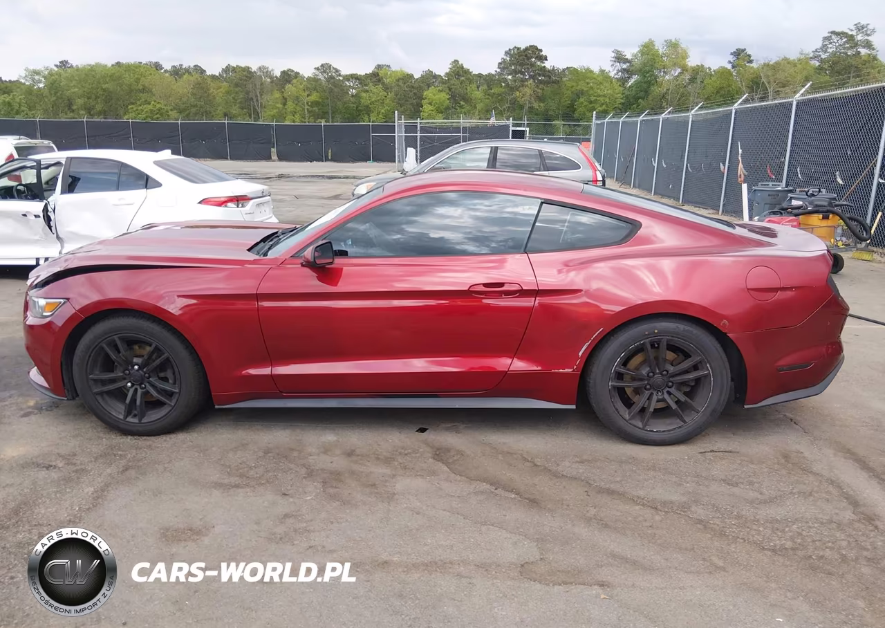 2017 Ford Mustang V6 VIN:1FA6P8AM9H5256082 - 14