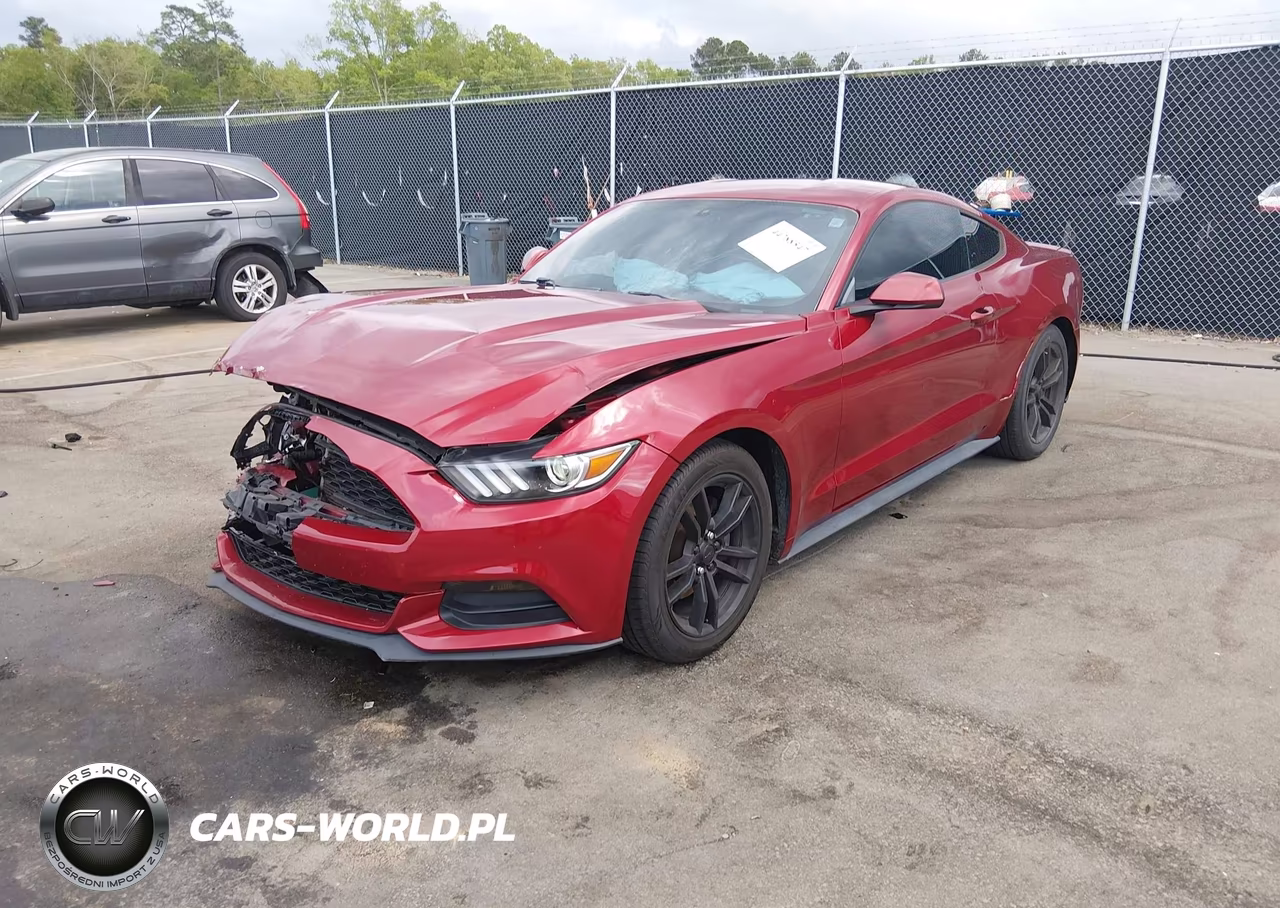 2017 Ford Mustang V6 VIN:1FA6P8AM9H5256082 - 2
