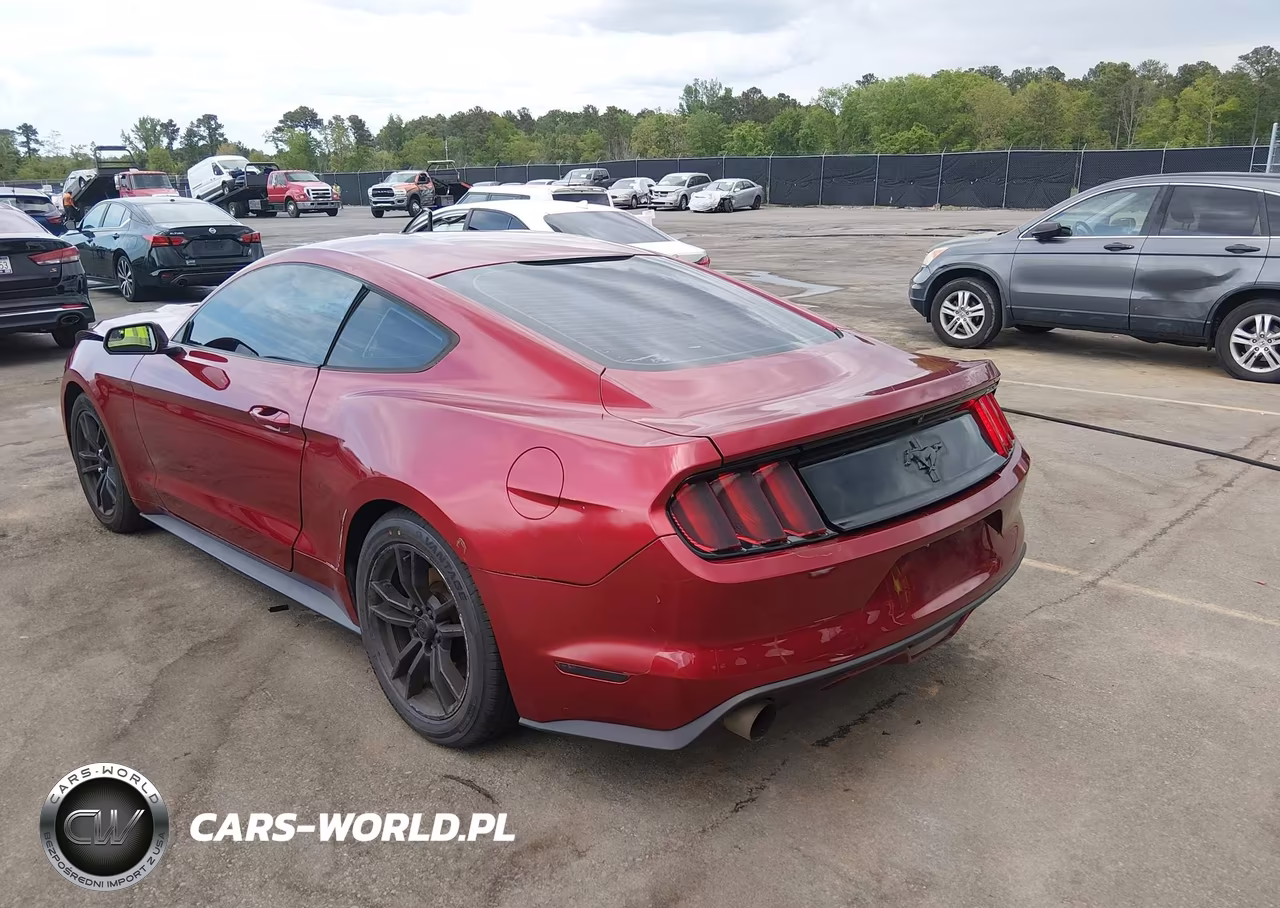 2017 Ford Mustang V6 VIN:1FA6P8AM9H5256082 - 3