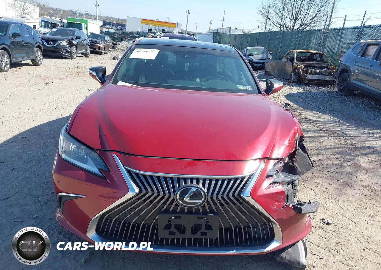 2019 Lexus Es 350 VIN:58ABZ1B11KU028481 - 13