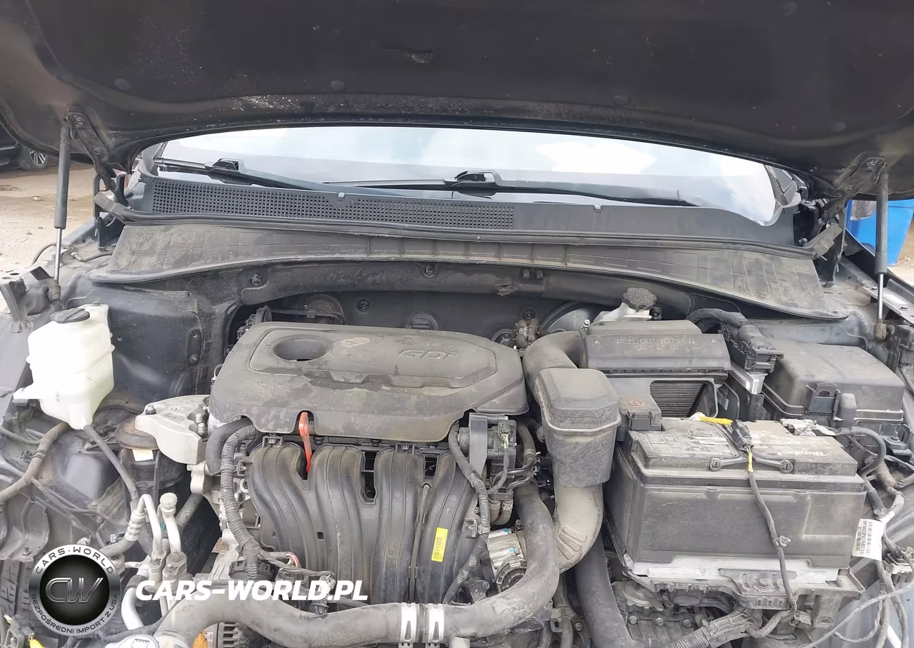 2018 Kia Sorento 2.4L L VIN:5XYPG4A3XJG414134 - 10