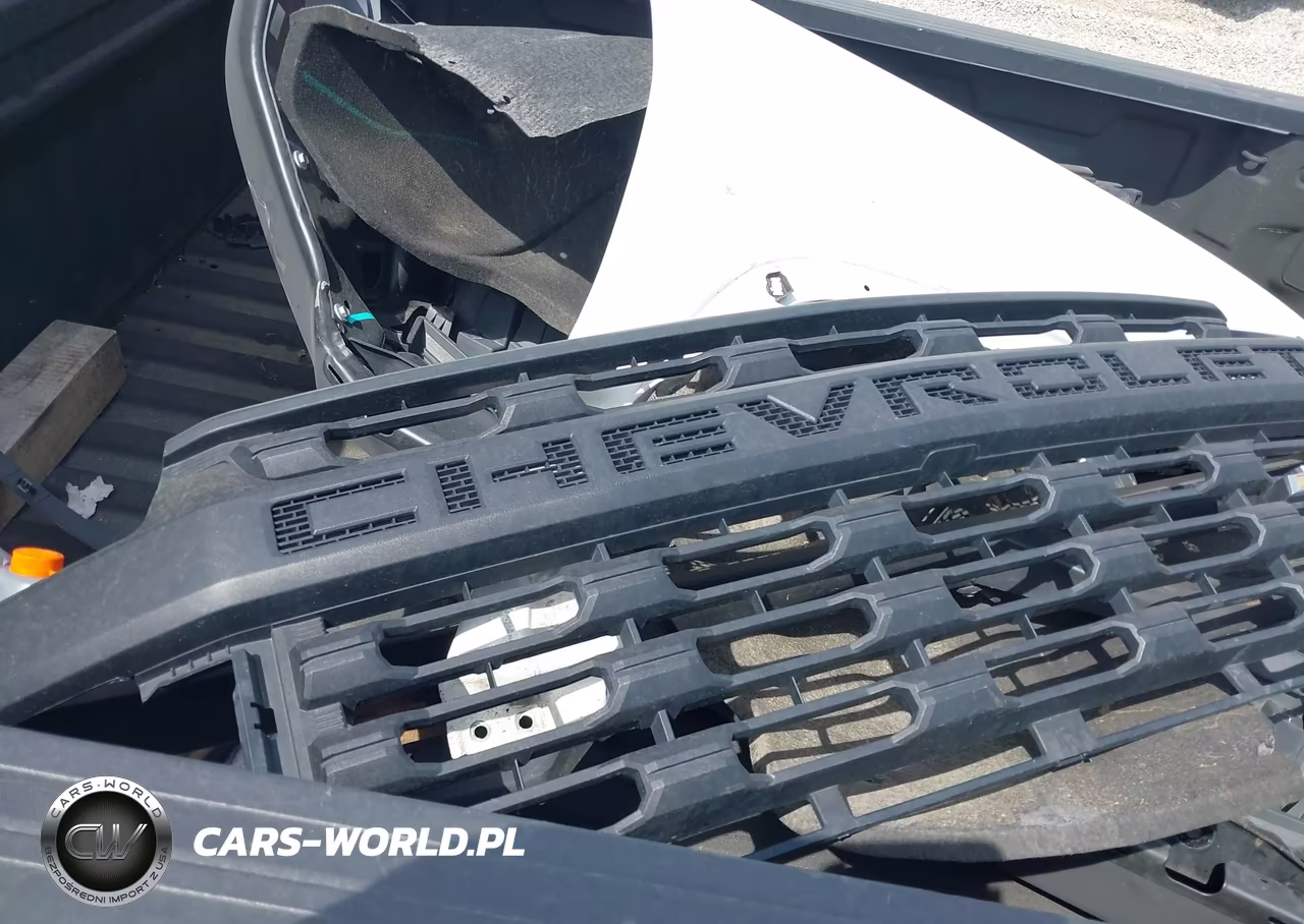2020 Chevrolet Silverado 2500Hd 4Wd Standard Bed Wt VIN:1GC1YLE77LF349355 - 12