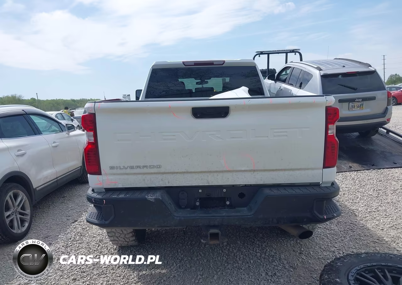 2020 Chevrolet Silverado 2500Hd 4Wd Standard Bed Wt VIN:1GC1YLE77LF349355 - 17