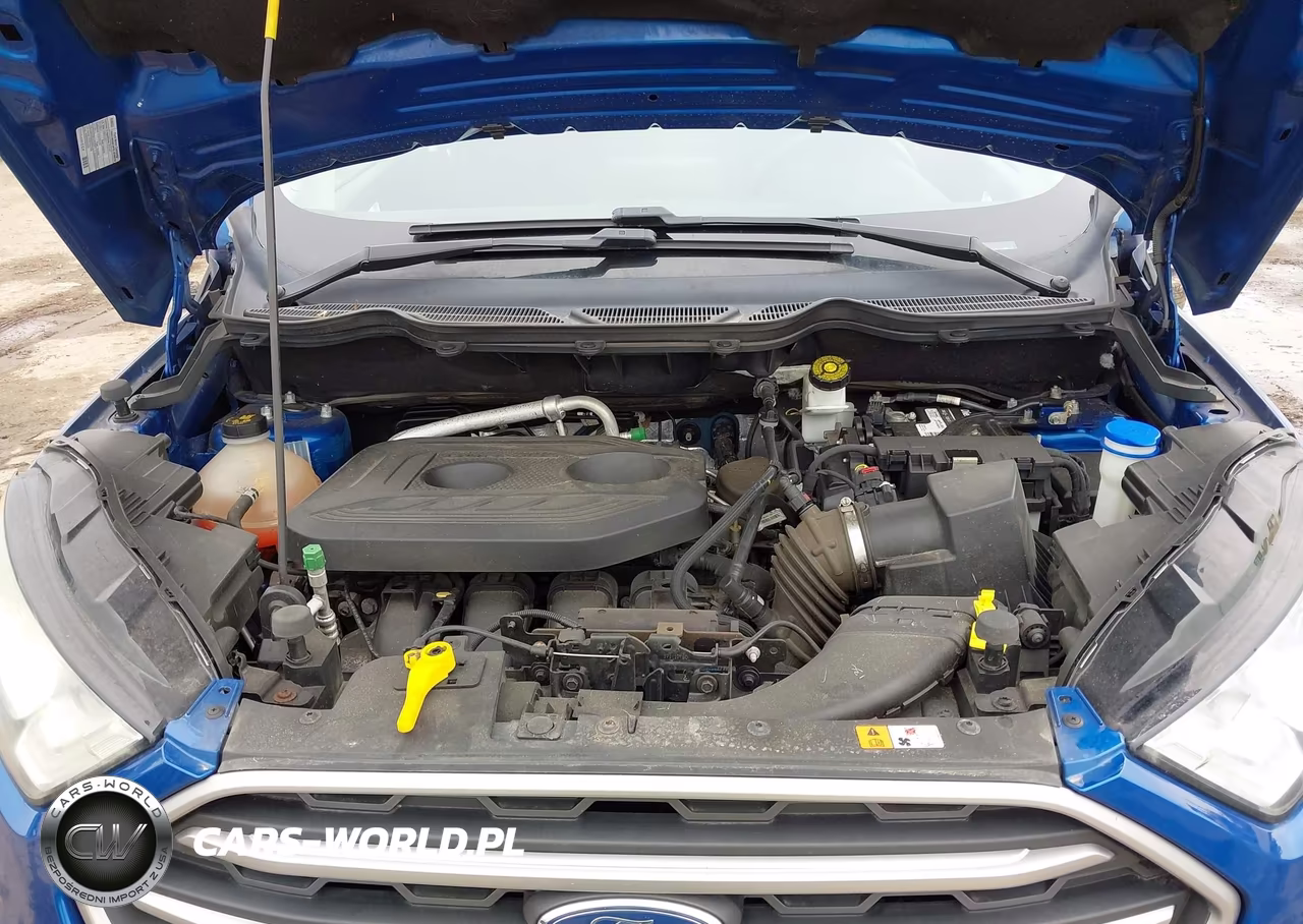 2018 Ford Ecosport Se VIN:MAJ6P1UL6JC159420 - 10