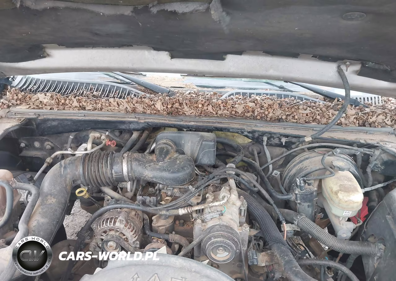 2004 Chevrolet Silverado 1500 VIN:1GCEC14X44Z136241 - 10