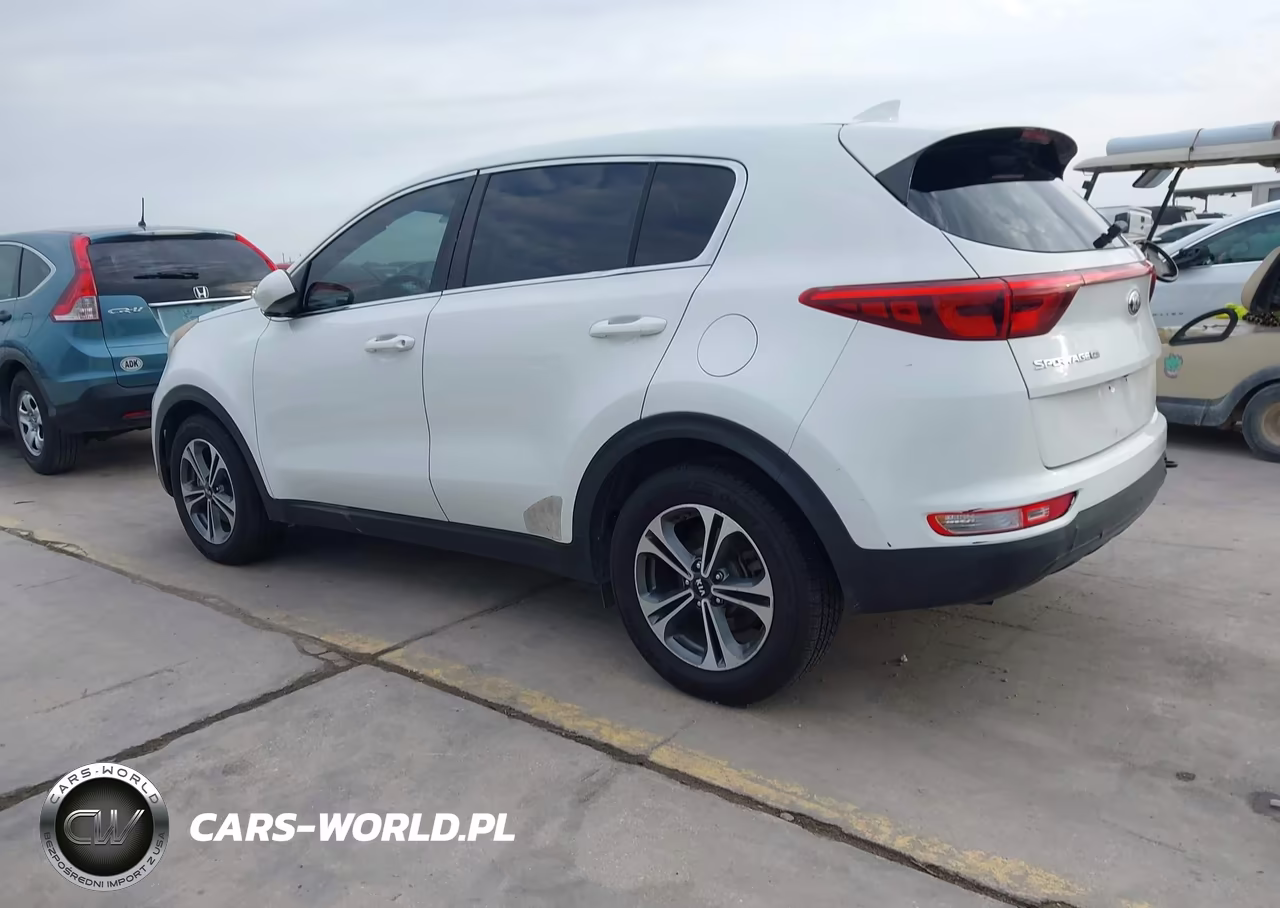 2017 Kia Sportage Lx VIN:KNDPM3AC3H7145095 - 3