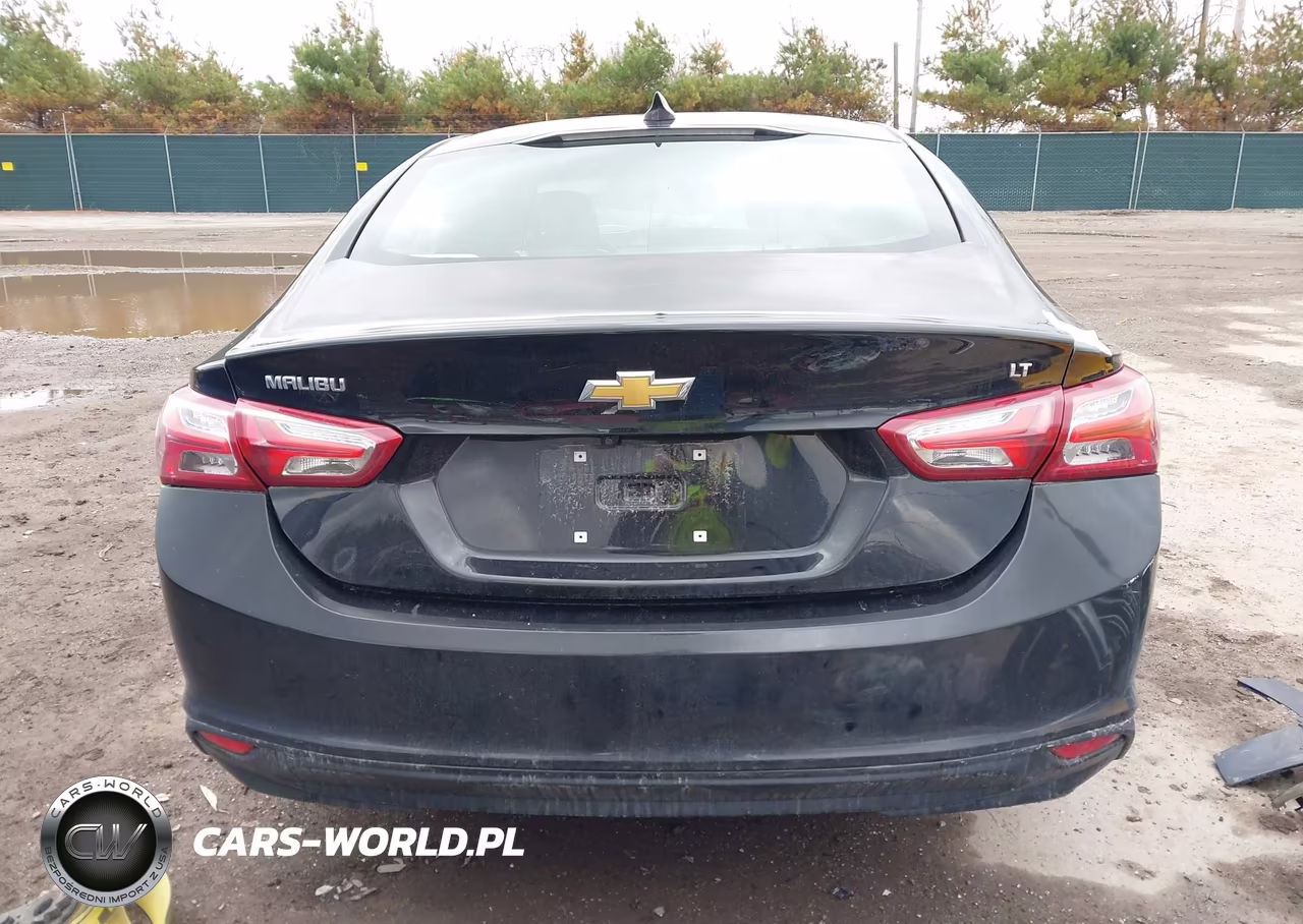 2019 Chevrolet Malibu Lt VIN:1G1ZD5ST1KF159683 - 17