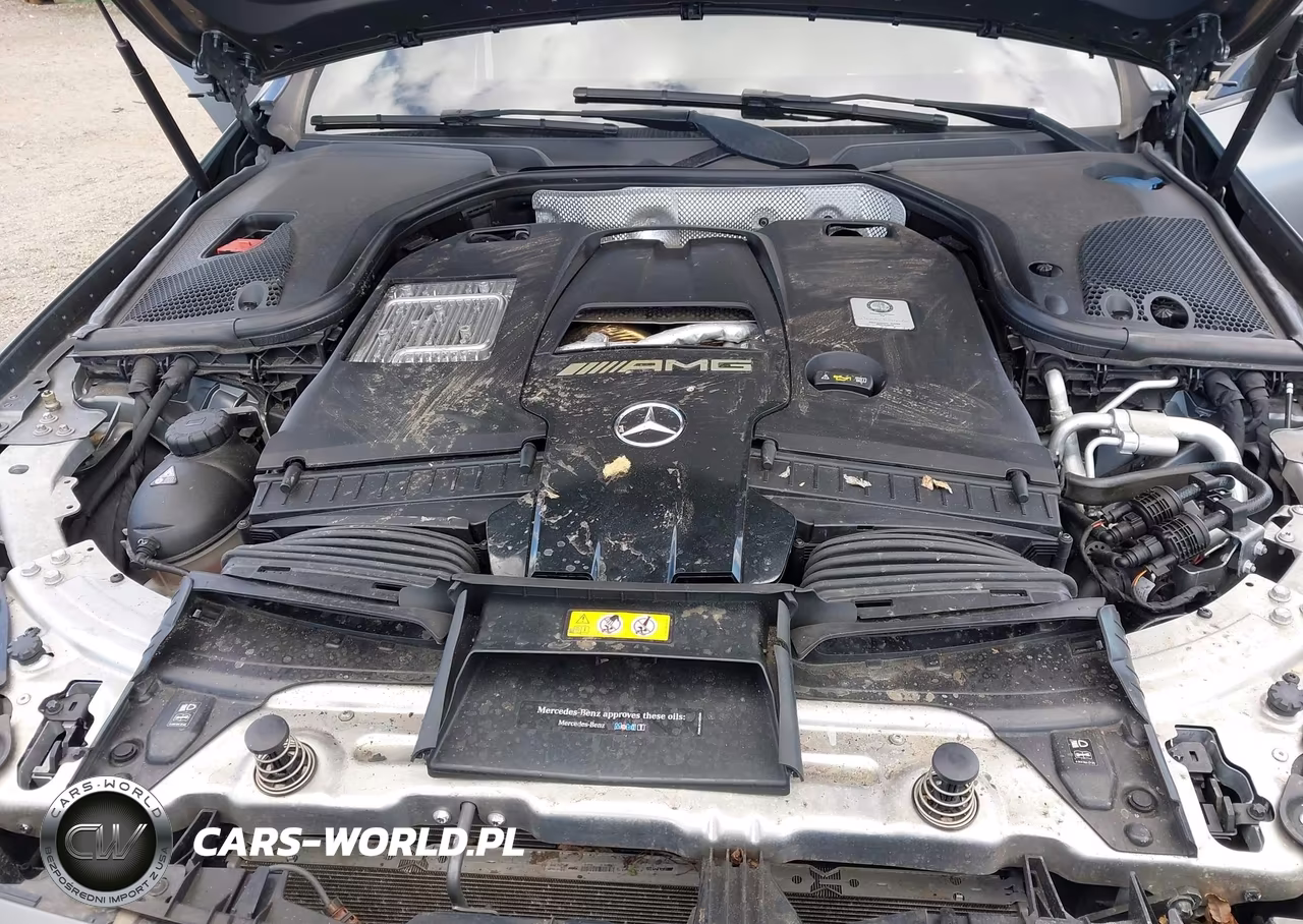 2019 Mercedes-Benz Amg Gt 63 4-Door Coupe VIN:WDD7X8JB9KA001272 - 10