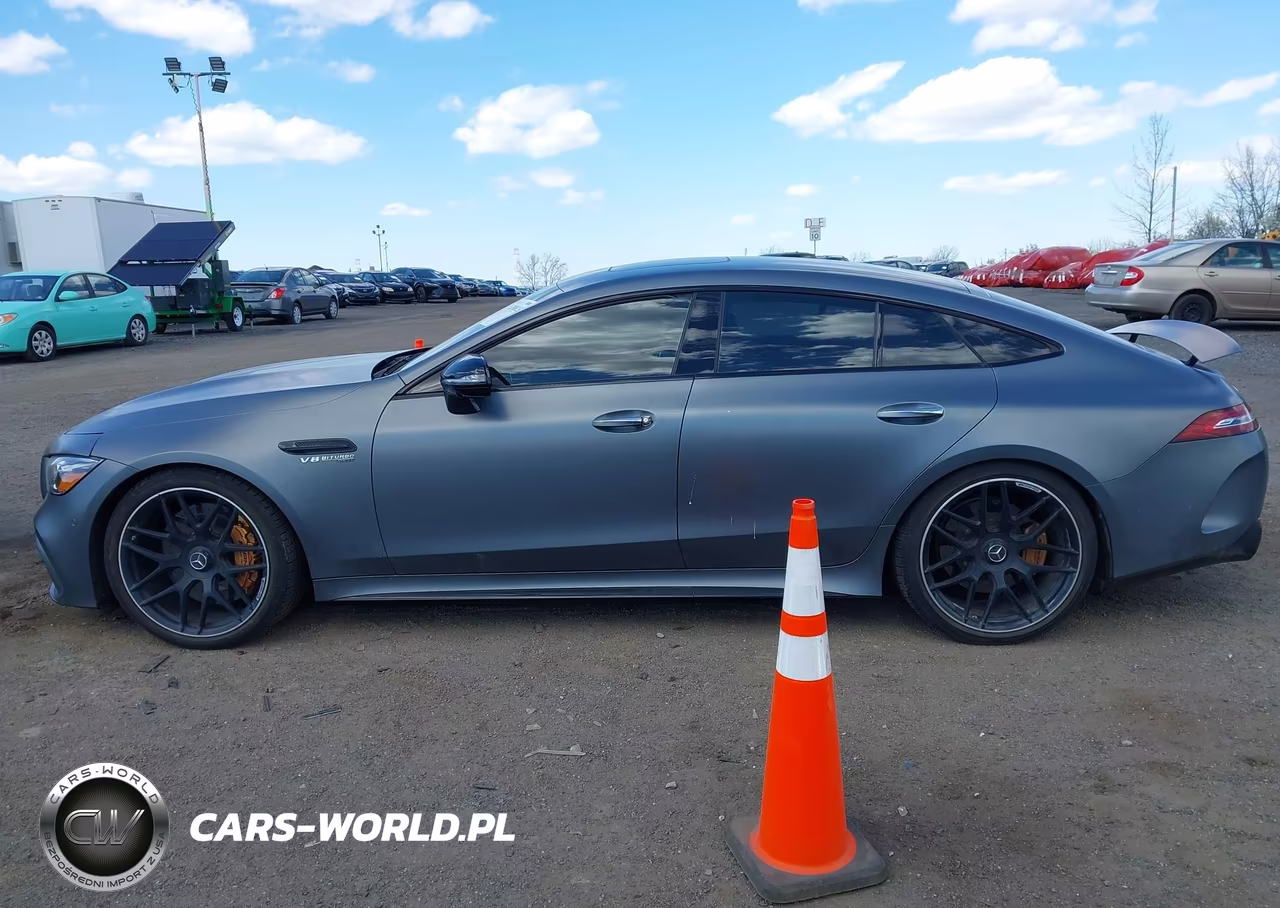2019 Mercedes-Benz Amg Gt 63 4-Door Coupe VIN:WDD7X8JB9KA001272 - 13