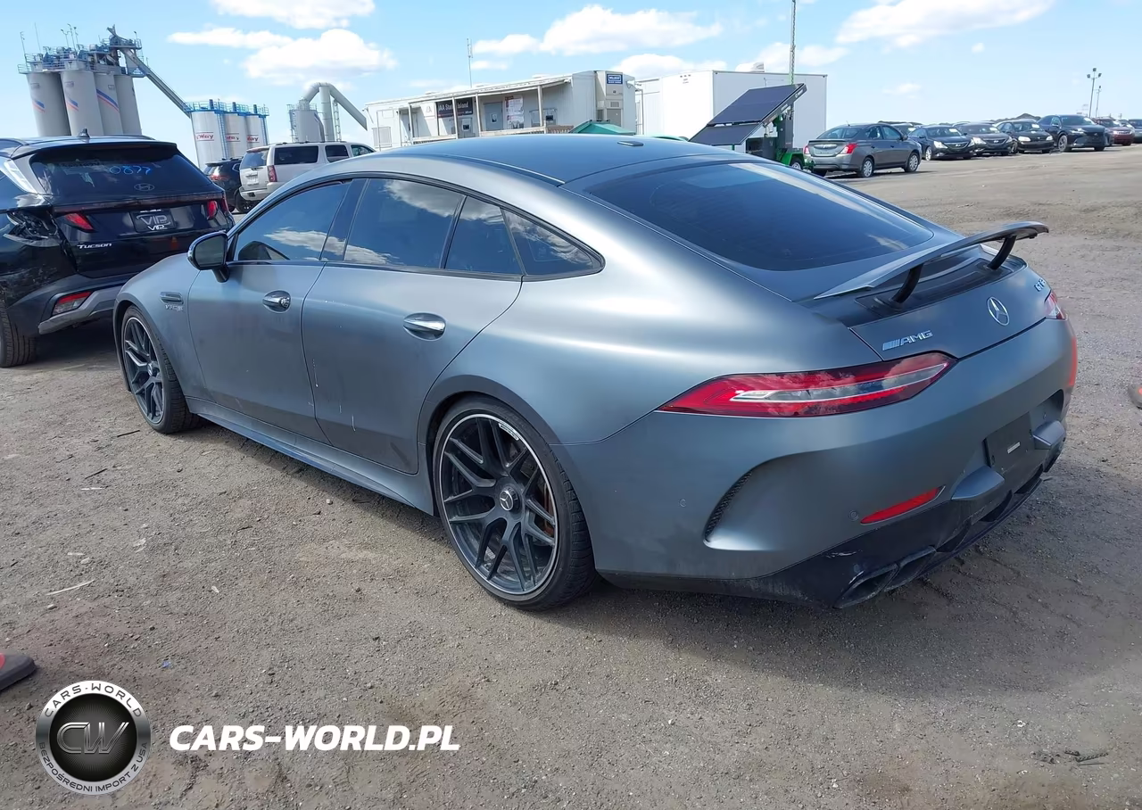 2019 Mercedes-Benz Amg Gt 63 4-Door Coupe VIN:WDD7X8JB9KA001272 - 3