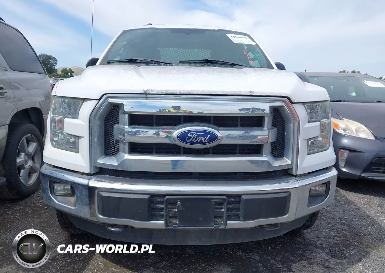 2015 Ford F-150 Xlt VIN:1FTFX1EF0FKE88971 - 12