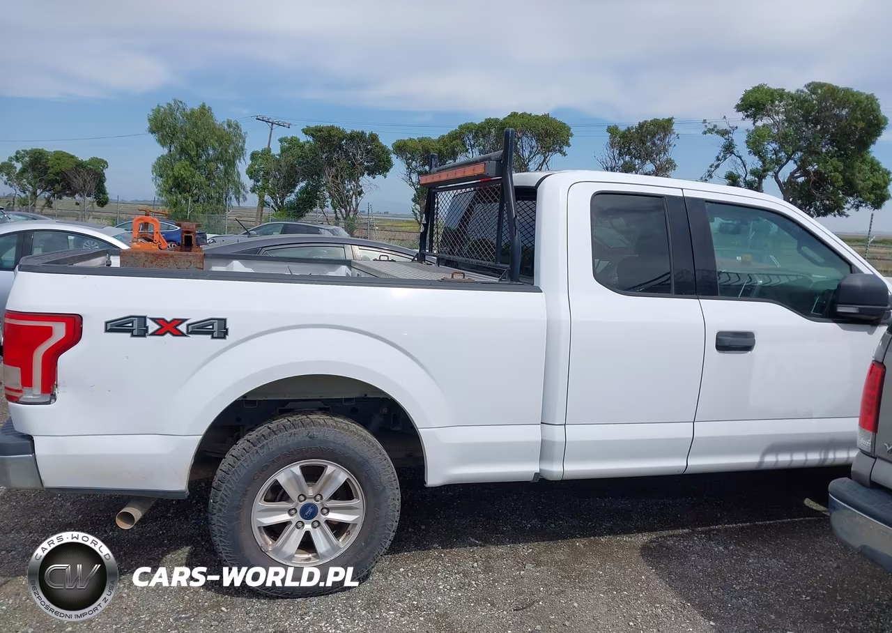 2015 Ford F-150 Xlt VIN:1FTFX1EF0FKE88971 - 13