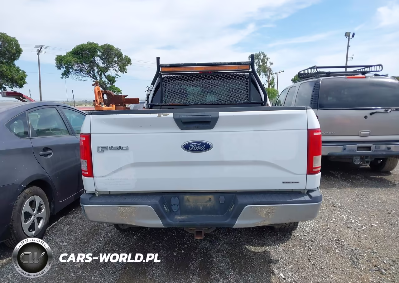 2015 Ford F-150 Xlt VIN:1FTFX1EF0FKE88971 - 16