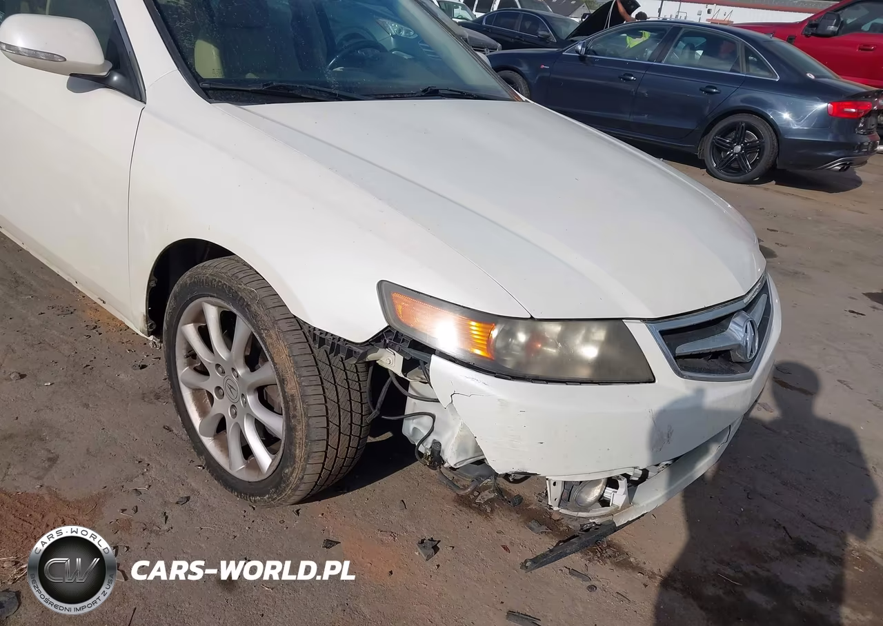 2006 Acura Tsx VIN:JH4CL96966C025568 - 6