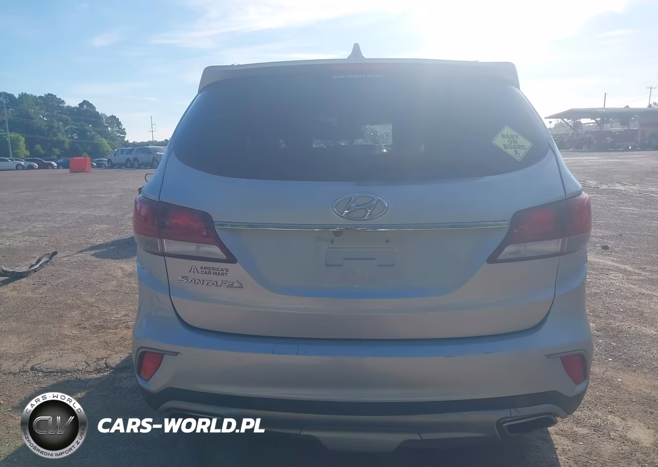 2018 Hyundai Santa Fe Se VIN:KM8SM4HF1JU282183 - 17