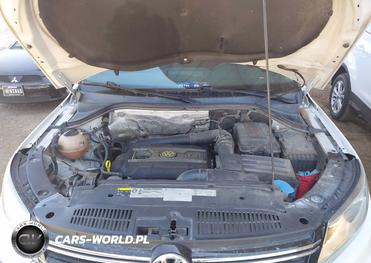 2014 Volkswagen Tiguan Se VIN:WVGAV3AXXEW505188 - 10